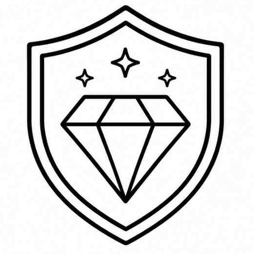 Premium Quality Icon