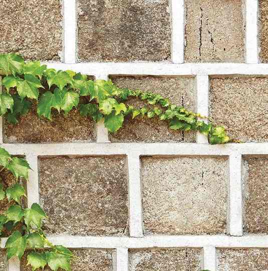 Brick wallpaper